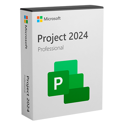 Project Professional 2024