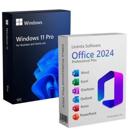 Licenta Windows 11 Pro si Office 2024 Professional Plus pe Stick USB